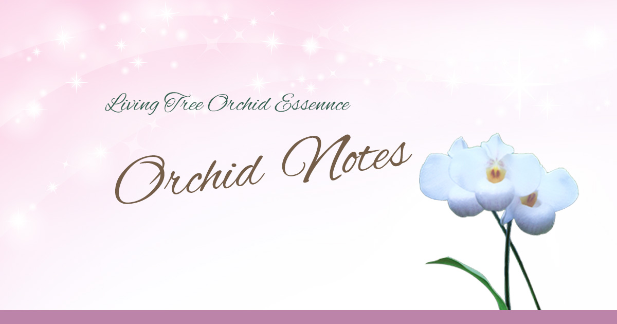 蘭のフラワーエッセンス | Orchid Notes（オーキッドノート）